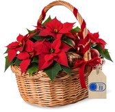 Panier en osier Creative Home avec poignée | 35x30x35cm | Poids léger | Décoration de Pasen pour pique-nique | Tissés à la main