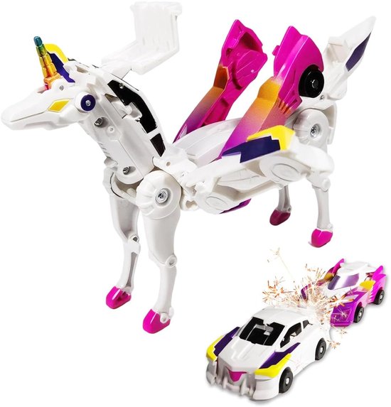 Magnetische