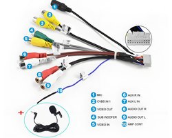 HexinexMarket 20-pins RCA Kabel + Extern Microfoon 2,5mm Handsfree-set voor Autoradio