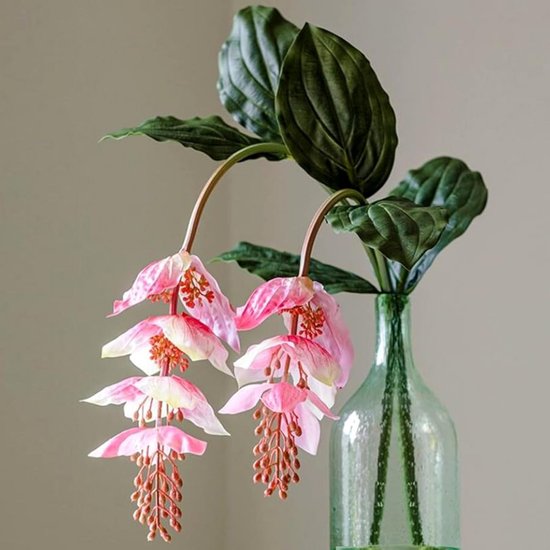 2x Grote Kunstbloem Medinilla Magnifica Real Touch Hoog 130 cm - Nep Tropische Plant...