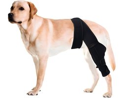 Kniebrace voor achterpoot bij honden - Herstelbrace voor ACL-scheur - Verstelbaar ontwerp met dubbele stabilisator - Artritisverlichting - Kniebrace voor breukfixatie bij huisdieren - Maat L
