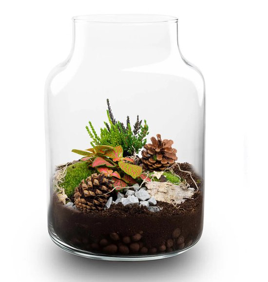 Planten terrarium - Little Milky Led lamp ↑ 25 cm