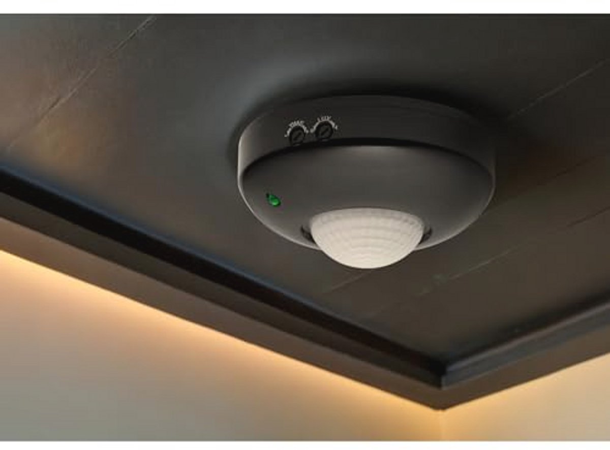 Bewegingssensor voor Binnen met 360 Graden Detectie en LUX Instelling