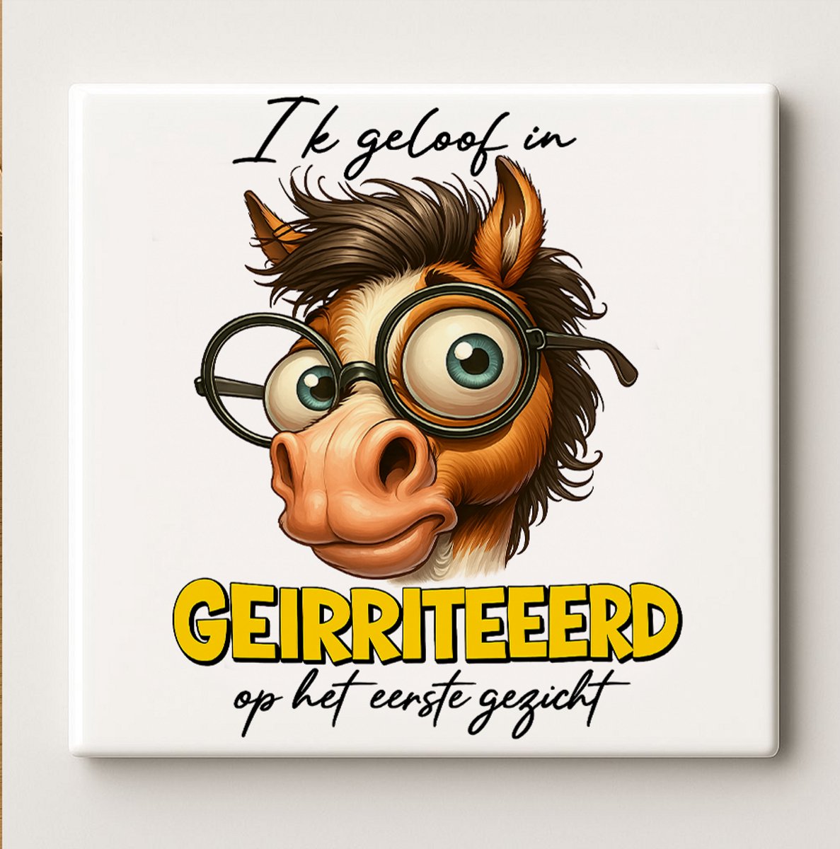 Nevolis Ik Geloof in Geïrriteerd op het Eerste Gezicht Grappige Tekst Decoratieve Tegel – Humoristische Wanddecoratie – 15 x 15 cm Multi Color