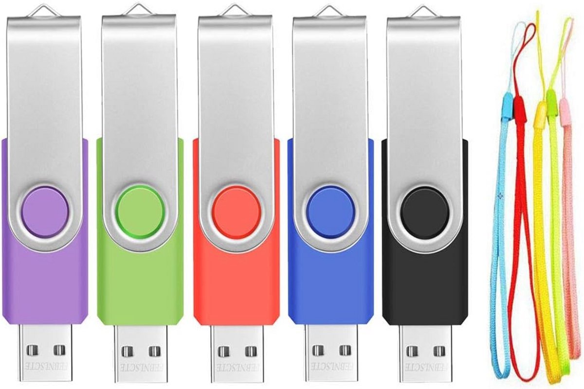 USB Stick 2.0 2 GB - 5 Stuks Pen Drive met Draaibare Clip en Lanyard