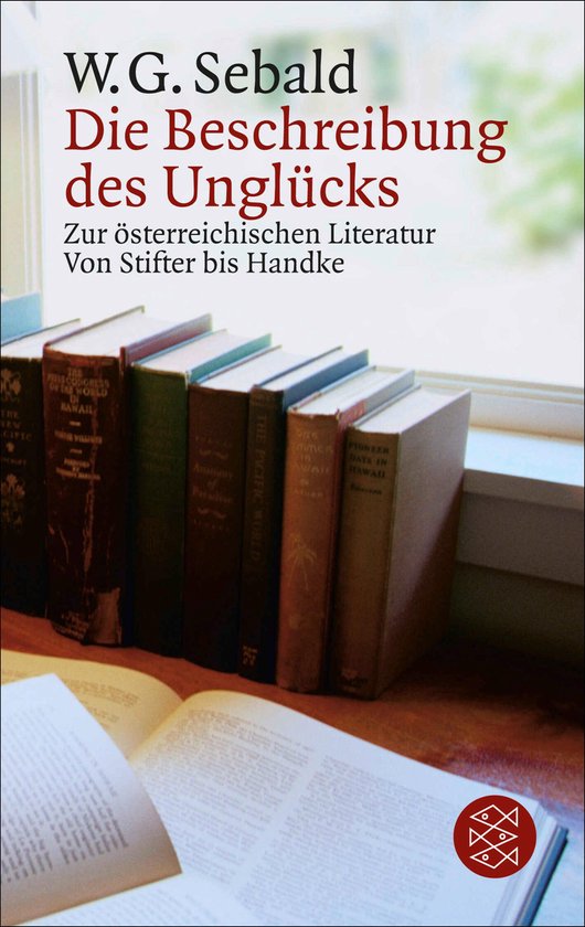 Die Beschreibung des Unglücks - cover