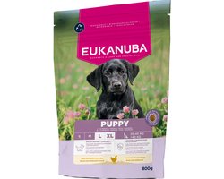 Eukanuba Hondenvoer Droog Life Care Dog Puppy Large Kip - 5 x 800 gr - Voordeelverpakking