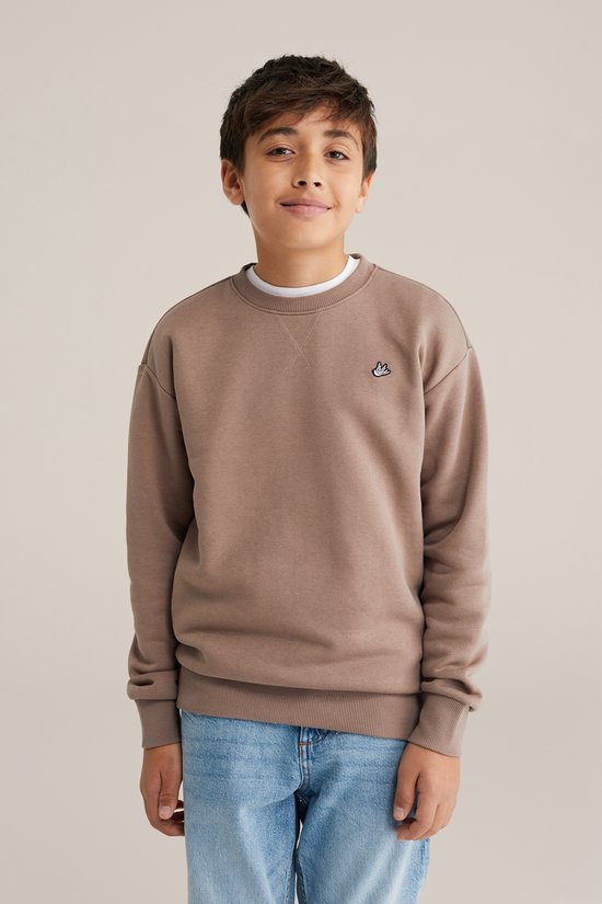 WE Fashion Jongens regular fit sweater
