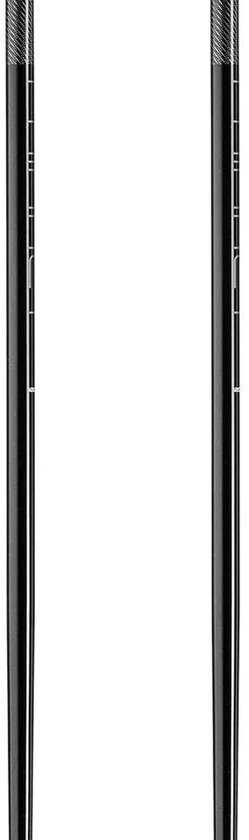 Bâtons Leki Alpino Primacy Argent 125 cm