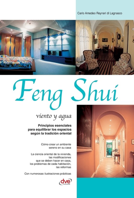 Feng Shui - cover