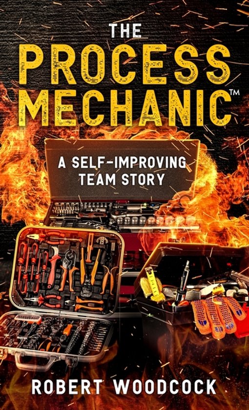 The Process Mechanic(TM) - cover