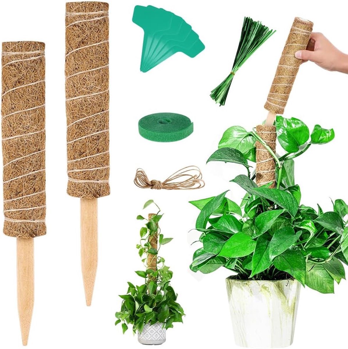 Famanu – Kokos plantenstaaf, 2 stuks, 30 cm, klimplantenstok van kokosvezel, plantensteun en mosstok met verlenging