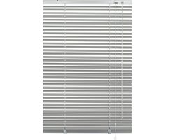 Aluminium Blinds voor Privacy en Zonwering, Wand- en Plafondmontage, Incl. Montage Onderdelen, Zilver, 60 x 175 cm
