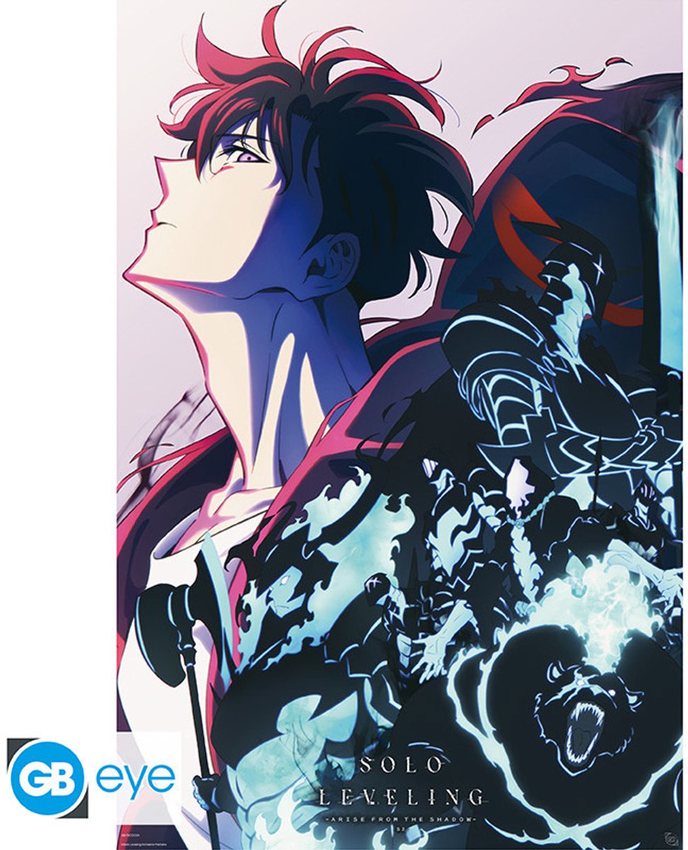 Solo Leveling Season 2 Unisex Poster - meerkleurig - Standard