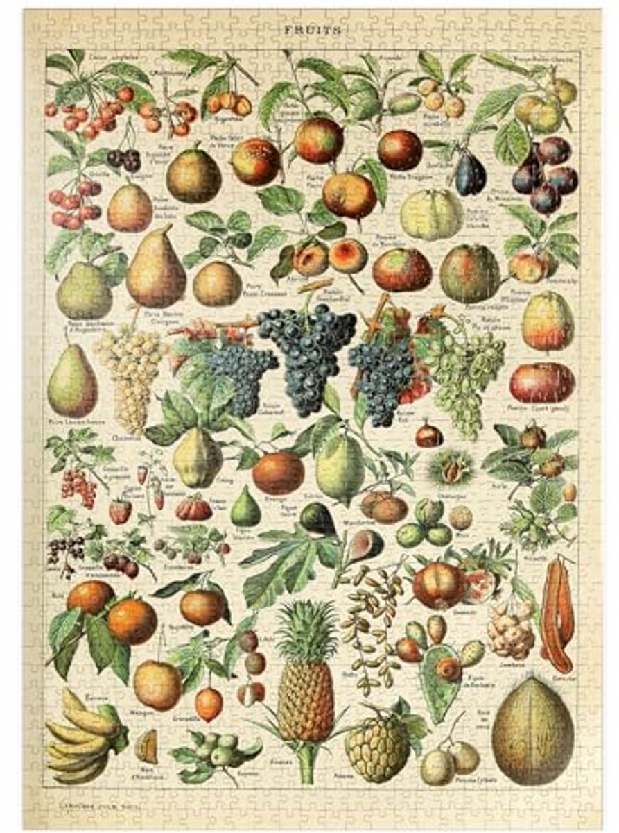 1000 Stukjes Puzzel Fruit Vintage Kunst Poster - Adolphe Millot