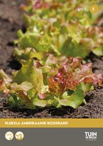 Pluksla Amerikaanse Roodrand Zaden – Snij- en Pluksla – Snelgroeiend – Groentezaden Moestuin | Tuin de Bruijn