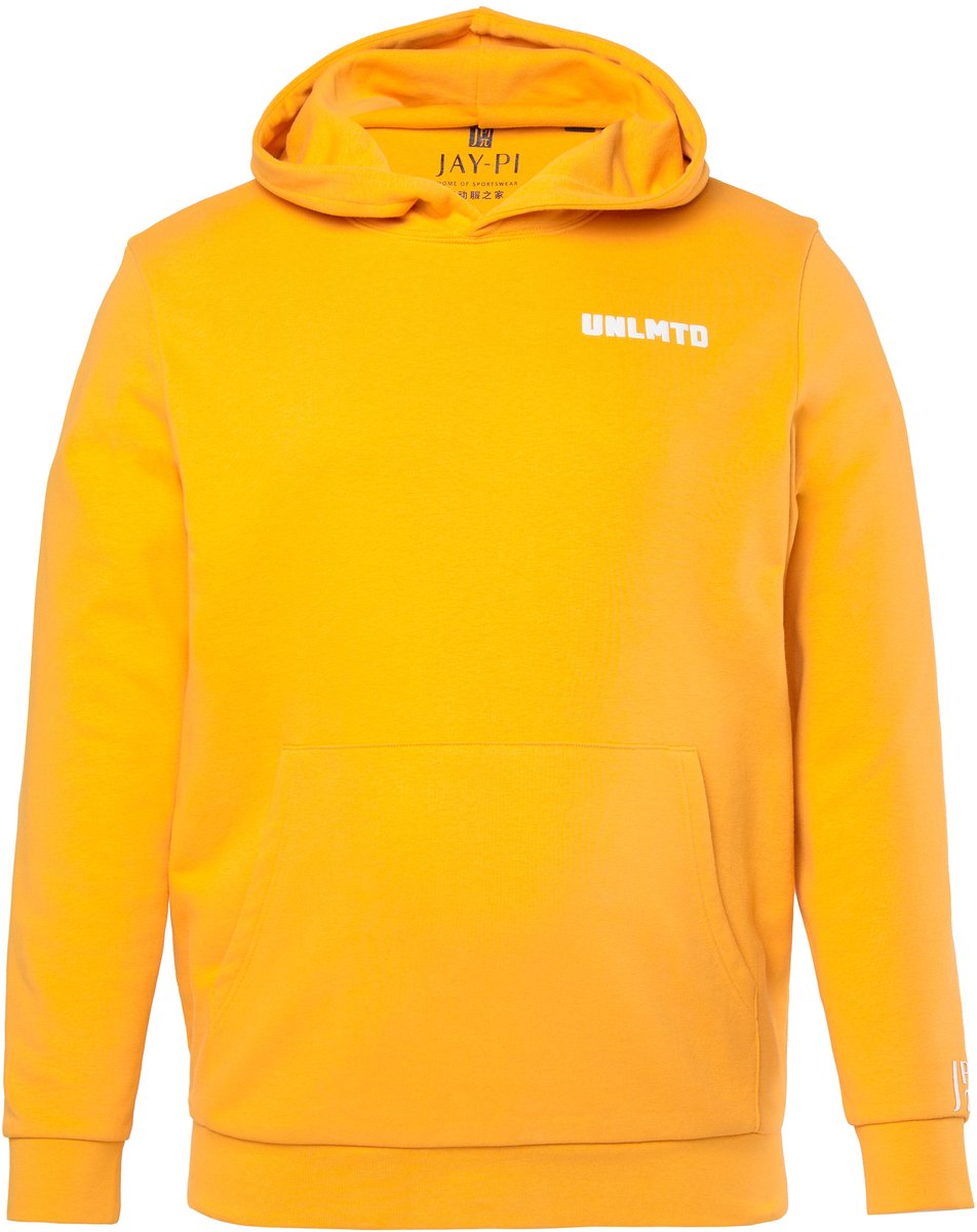 JAY-PI - Heren - Hoodie fitness capuchon - Wortel - Maat L