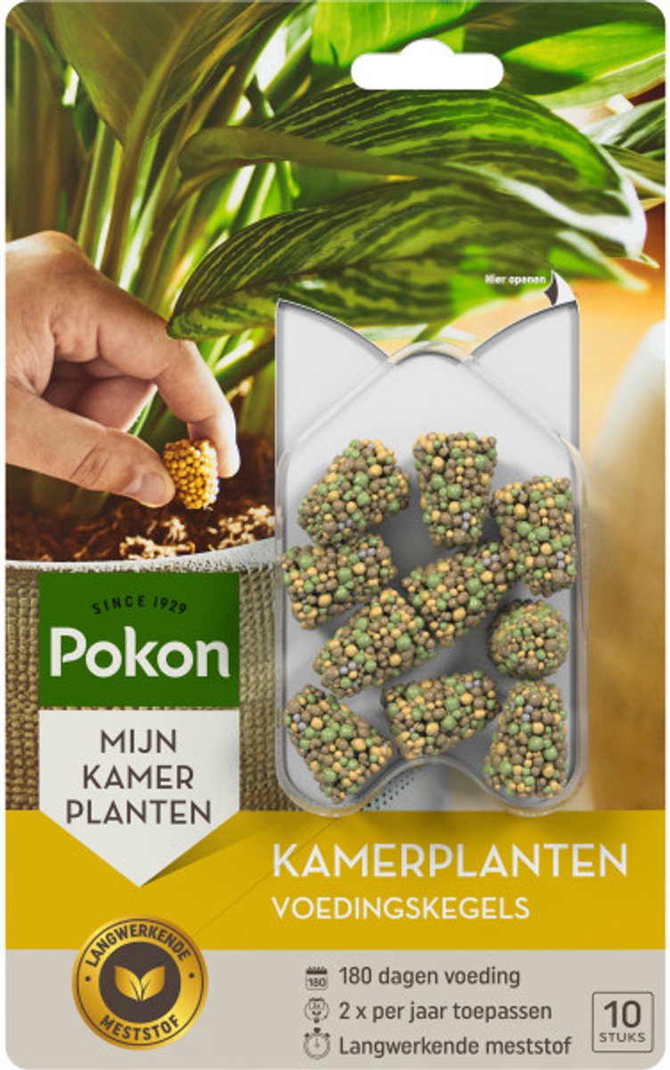 Pokon Kamerplanten Voedingskegels - 10st - Plantenvoeding - 6 maanden voeding