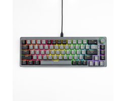 DREILEX AG68 – Mechanisch Gaming Toetsenbord 65% Compact – Hot-Swap RGB – QWERTY USB-C Bedraad – 67 Toetsen met Knop