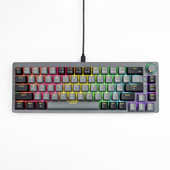 DREILEX AG68 - Mechanisch Gaming Toetsenbord 65% Compact - Hot-Swap RGB - QWERTY USB-C Bedraad - 67 Toetsen met Knop