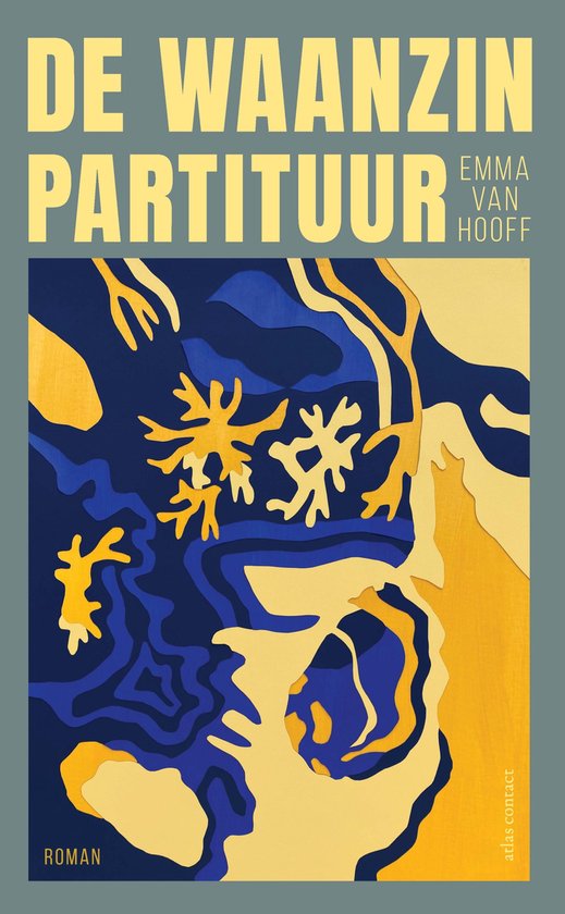 De waanzinpartituur - cover