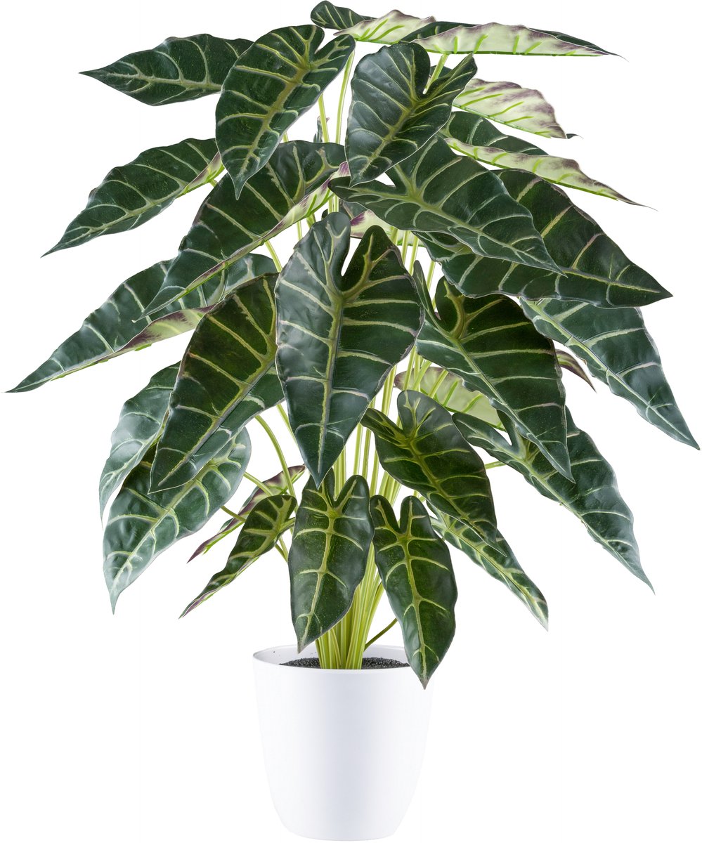 Kopu Alocasia Kunstplant 30 Bladeren 68 cm Hoog met Pot - Groen