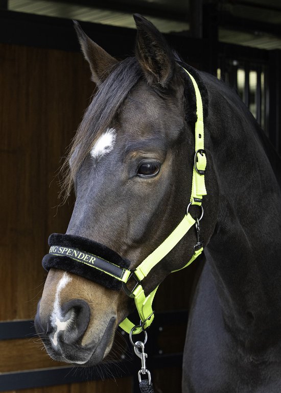 Harry's Horse Halster Lyrics Quotes Lime - Full | Zwart | Halstertouw paard Harry's Horse Halster Lyrics Quotes Lime - Full | Zwart | Halstertouw paard