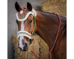 Halter, longe en oorbescherming voor paard Harry's Horse Christmas