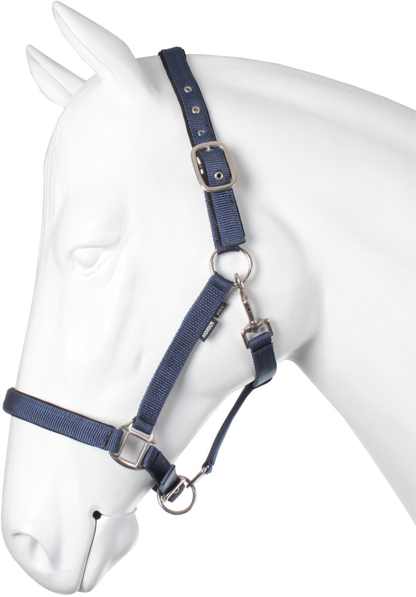 Halster Nubuck | Pony