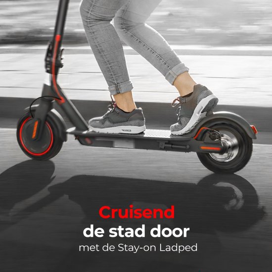 HWWH Super krachtige elektrische step voor volwassenen, 33 cm (13 inch