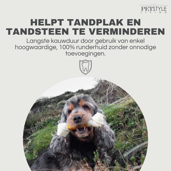 Cocker Spaniël kauwt op een PETSTYLE LIVING bot. Helpt tandplak en tandsteen te verminderen.