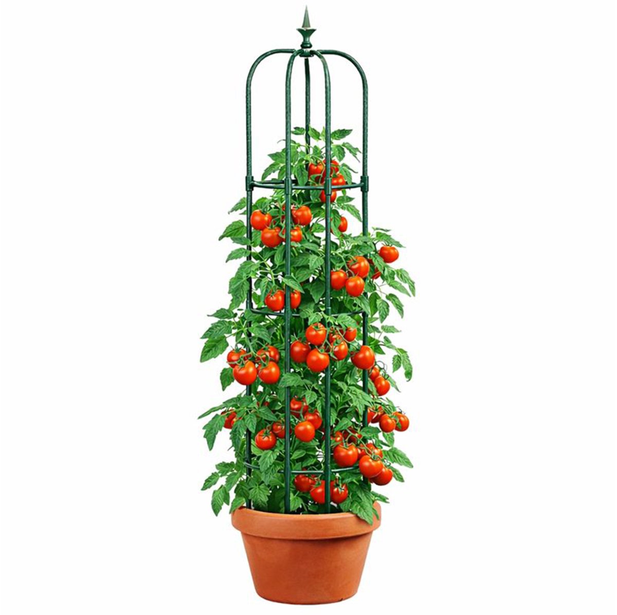 YUGN Plantensteun Rozenzuil 200 cm - Klimplantenrek met Ringen - Gepoedercoat Staal - Groen