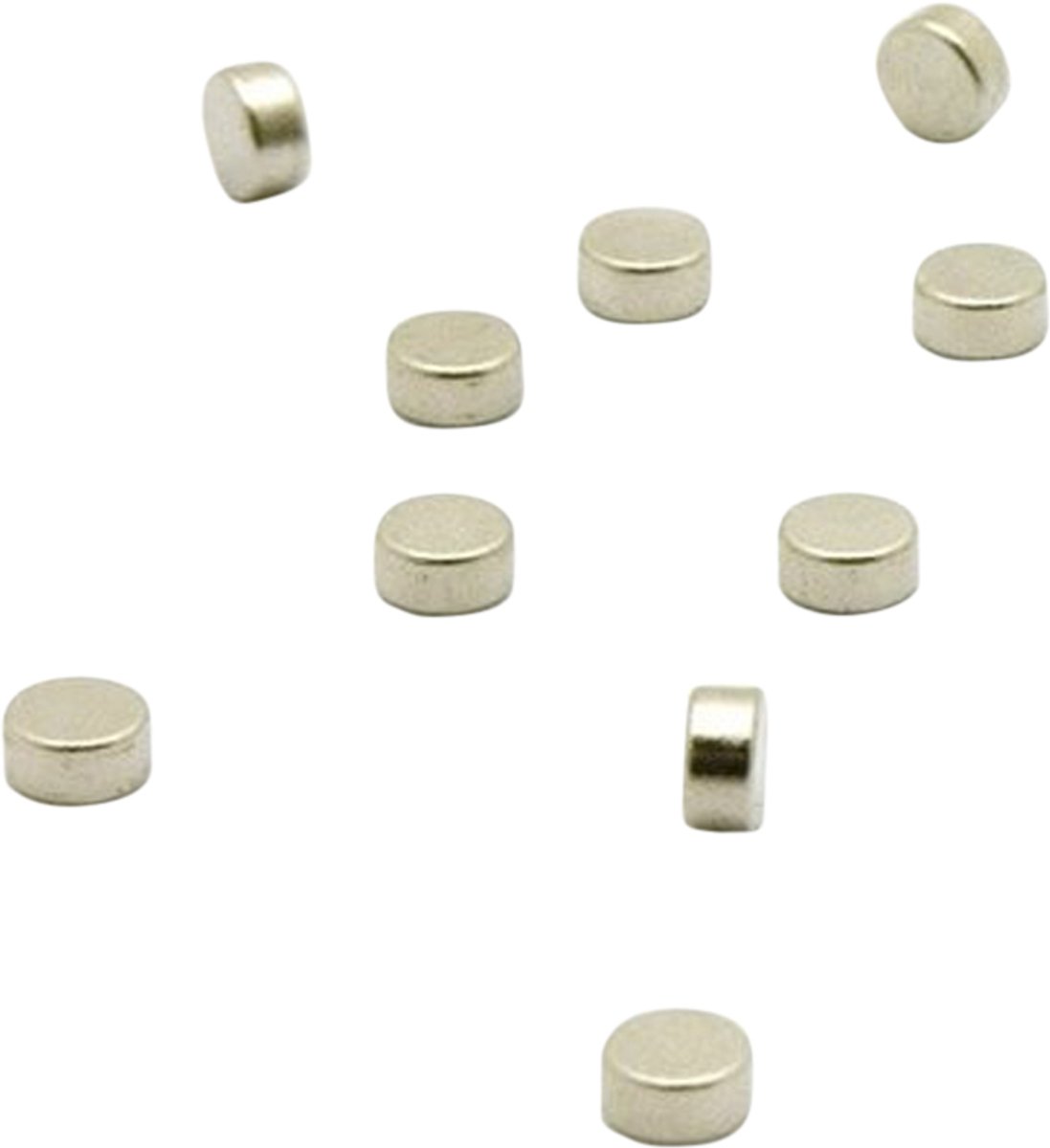 Groovy Magnets Schijfmagneten – 10 Stuks