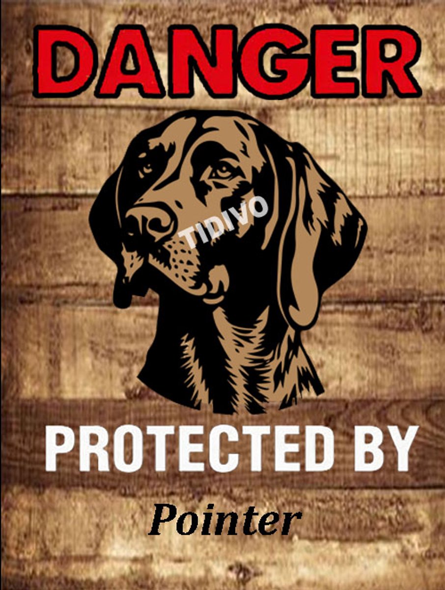 Pointer 19