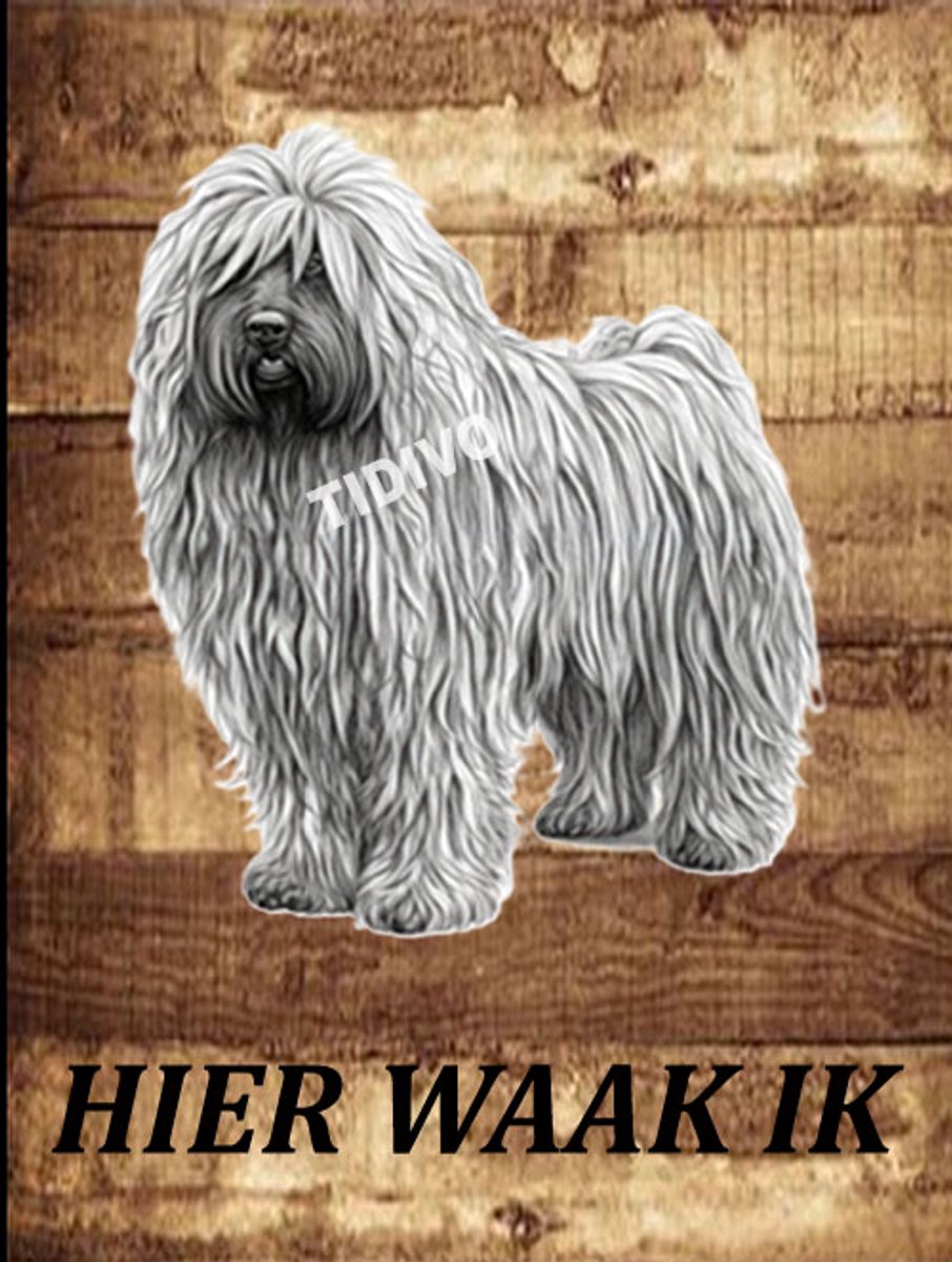 Puli 20