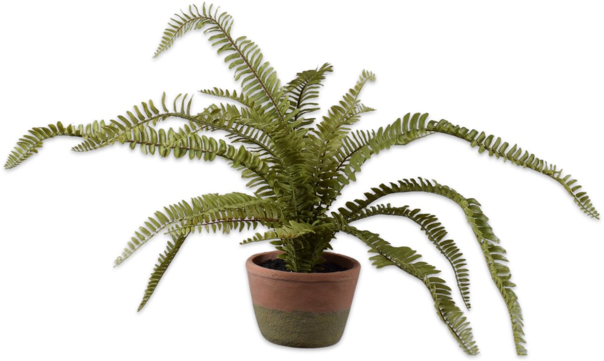 Silk-ka Kunstplant voor Binnen Varen Groen 68 cm