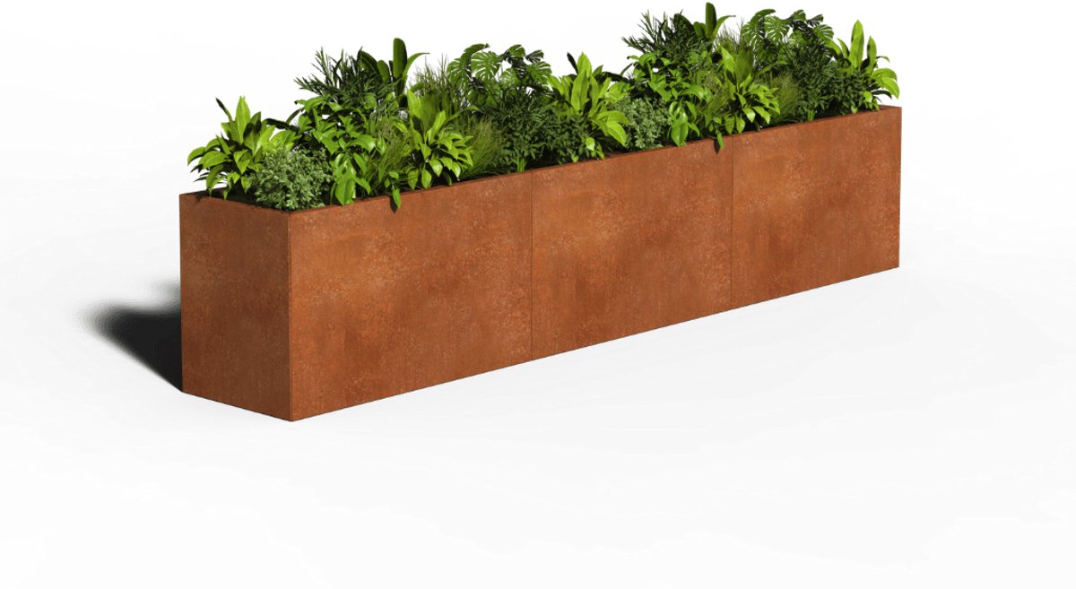 Cortenstaal Plantenbak Rechthoek | 300 x 50 x 30 | Zonder bodem