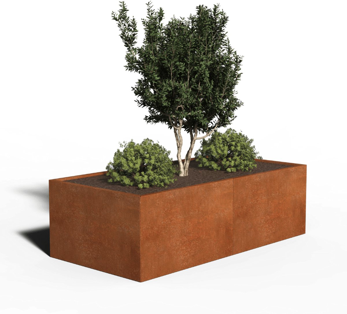 Cortenstaal Plantenbak Rechthoek | 200 x 100 x 30 | Zonder bodem