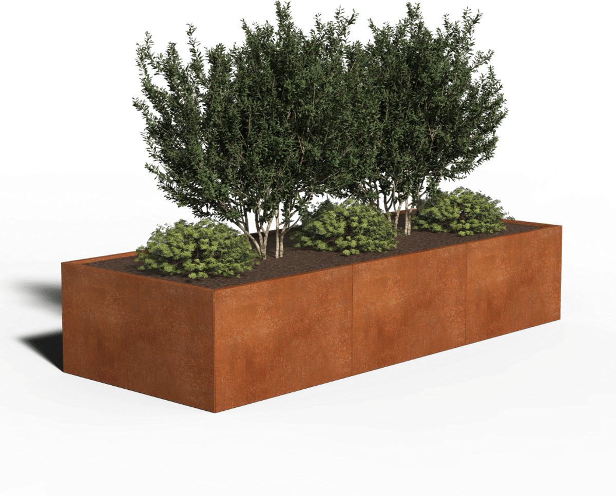 Cortenstaal Plantenbak Rechthoek | 300 x 120 x 80 | Zonder bodem