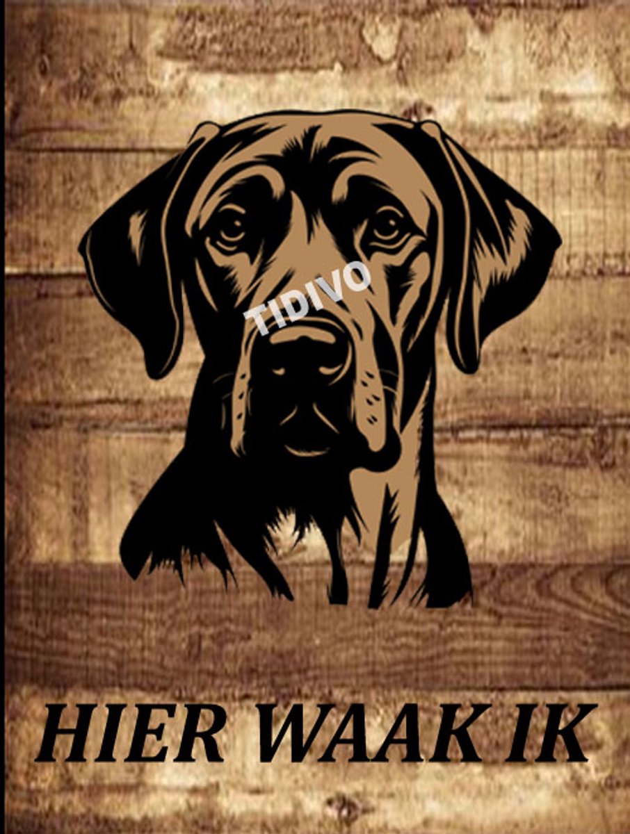 Rhodesian Ridgeback 20