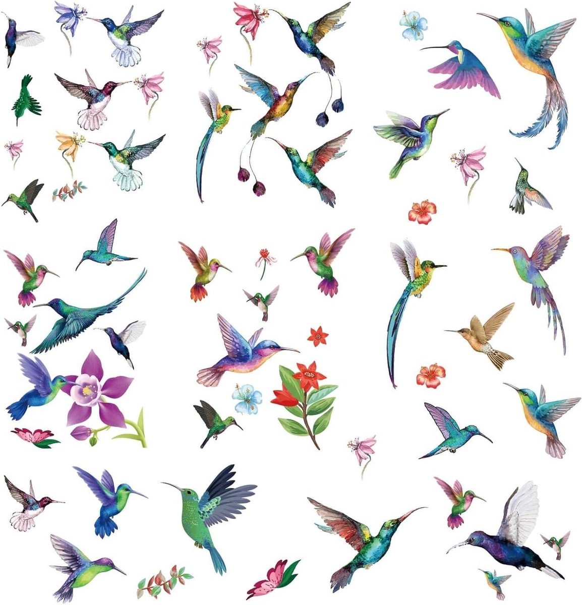 EGoods - Kleurrijke Vogels Stickers voor Raam en Muur - Kolibrie Bloemen Design - Waterdicht en Verwijderbaar - Decoraties voor Toilet, Slaapkamer en Woonkamer