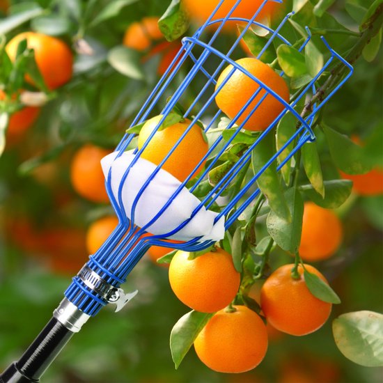 Fruitplukker met draaimechanisme - Telescopische fruitplukker van roestvrij staal - Fruitplukker voor bomen - Fruitplukmand - Telescopische steel van 4 meter - Geschikt voor fruit uit de tuin, zoals sinaasappels, peren en citroenen - Blauw — afbeelding 3