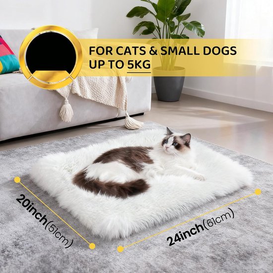 Janneke Schotveld - Hoofdstuk 8.5 - Het kattenmannetje en andere sprookjes Deeze