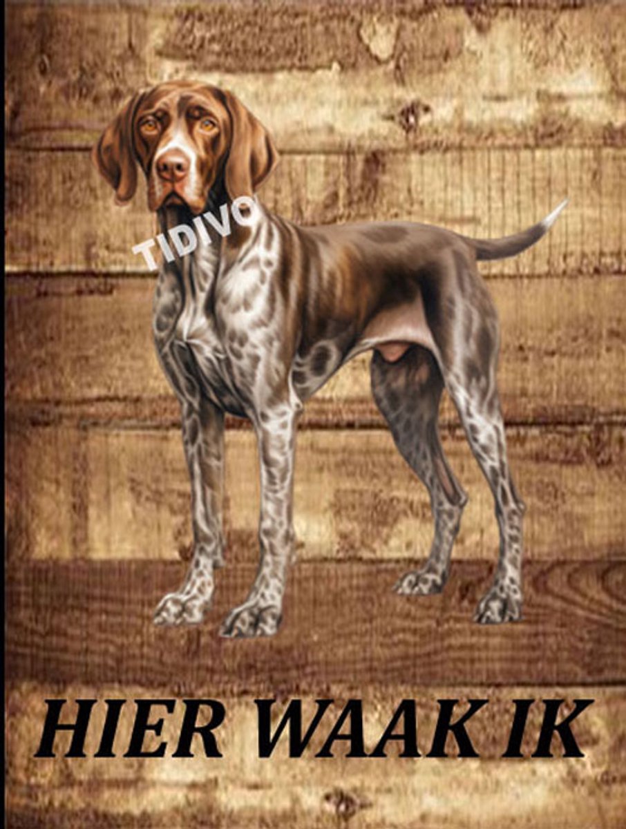 Duitse Staande Hond 20