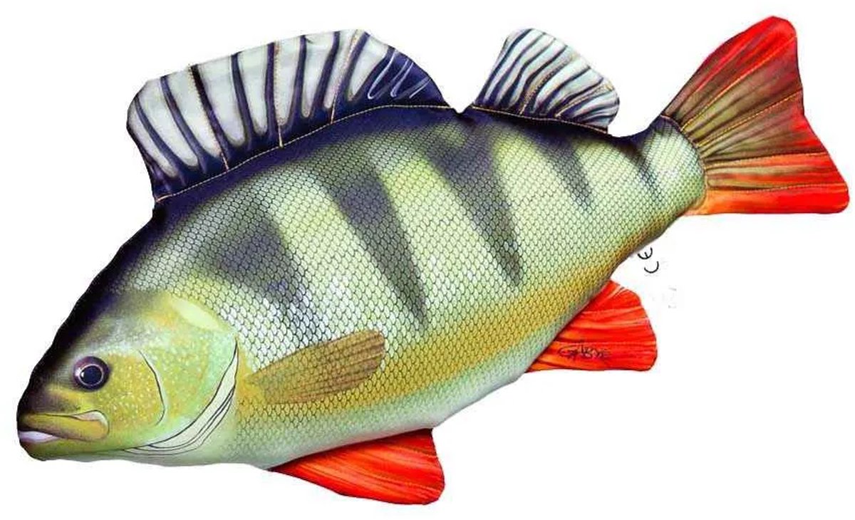 Gaby Het Monsterbaarskussen Veelkleurig