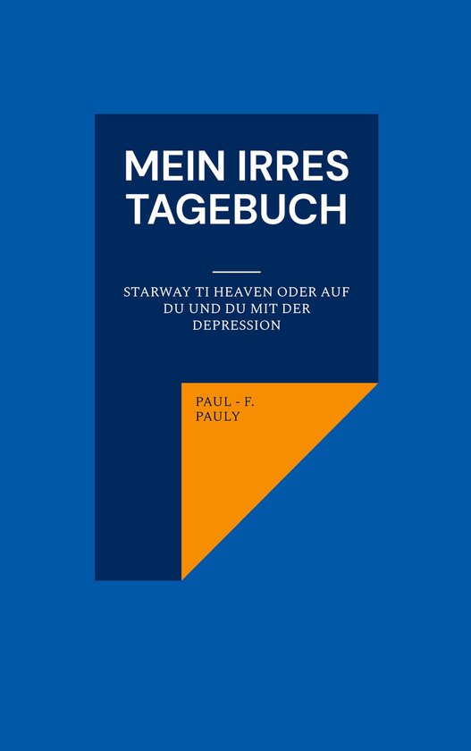 Mein irres Tagebuch - cover