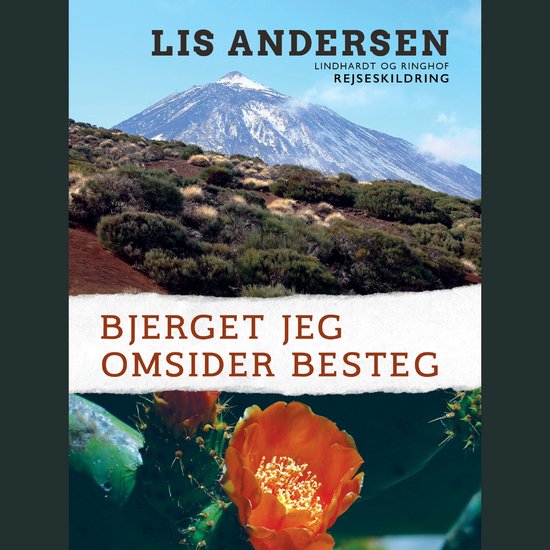 Bjerget jeg omsider besteg - cover