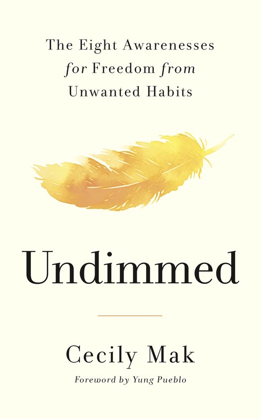Undimmed - cover