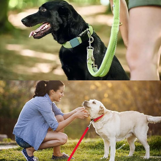 Collage van een zwarte en een gele labrador met riemen, en een vrouw die met een gele labrador speelt.