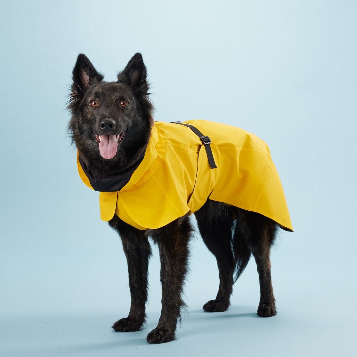 PAIKKA Visibility Regenjas Lite yellow - Maat 50